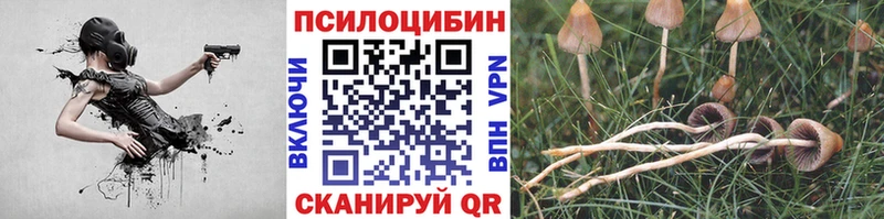 Псилоцибиновые грибы Magic Shrooms  Черепаново 