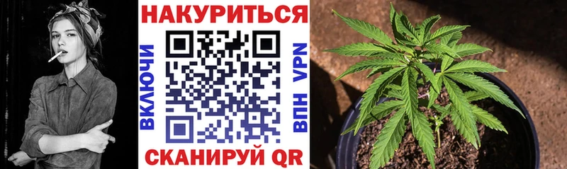 цена   Черепаново  Каннабис марихуана 